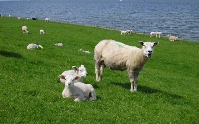 Hotel de Stadsboerderij/ Eetcafé de Brabander