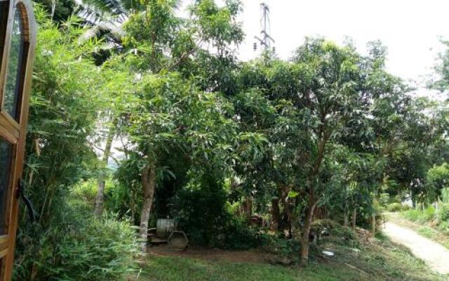 Pinnawala home stay