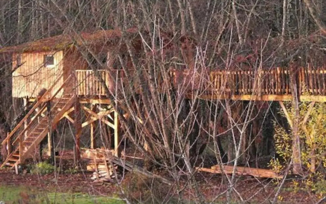 Cabane des cerfs