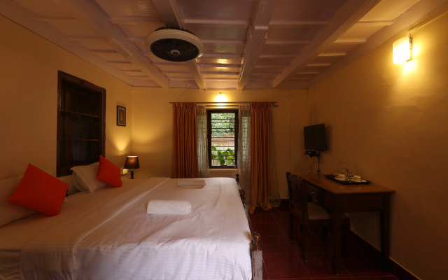 Avadale Coorg Stag - Groups Not Allowed