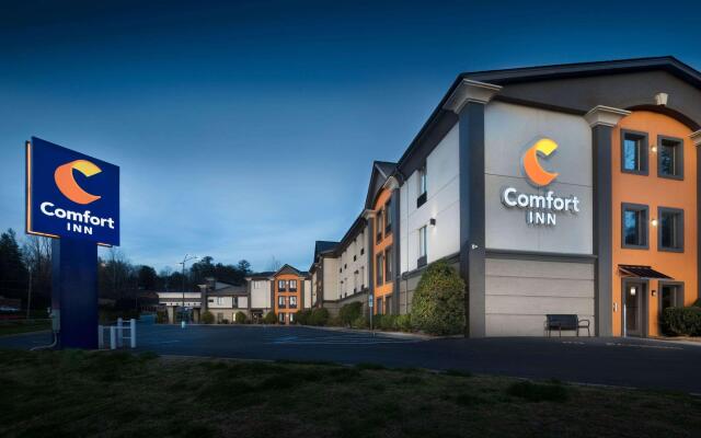 Comfort Inn Asheville East-Blue Ridge Pkwy Access