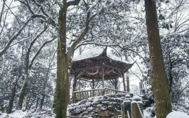Qingcheng Mountain Tingfeng Orange Yard Hot Spring Hotel
