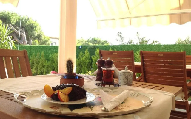 Hotel Rustic
