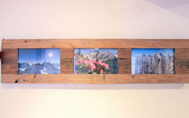 Apartment Marina Aschau im Zillertal 9176