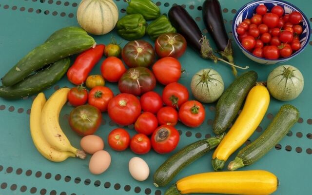 Domaine de L'estuaire