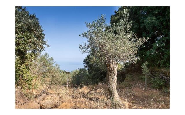 EcoAgriturismo Notti Stellate Etna Mare
