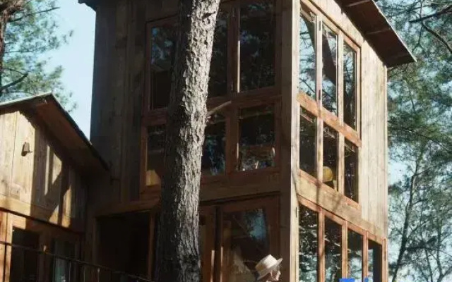 Duck Farm · The Lodge In Woods