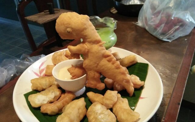 Solar ville house chiangmai