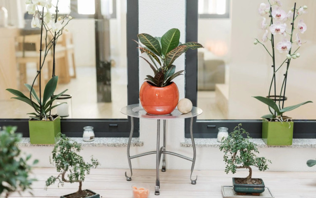 Retreat to a Stylish Concept House in Porto