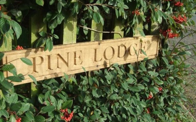Pine Lodge Studio