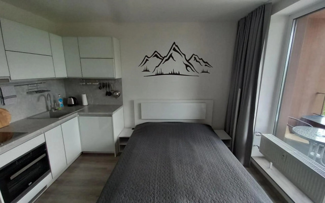 Mountain View Studio Apartment