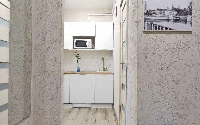 Апартаменты Исторический флигель на улице Писарева