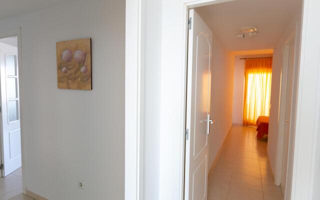 Apolo XVII 2-22-64 Vistas Mar