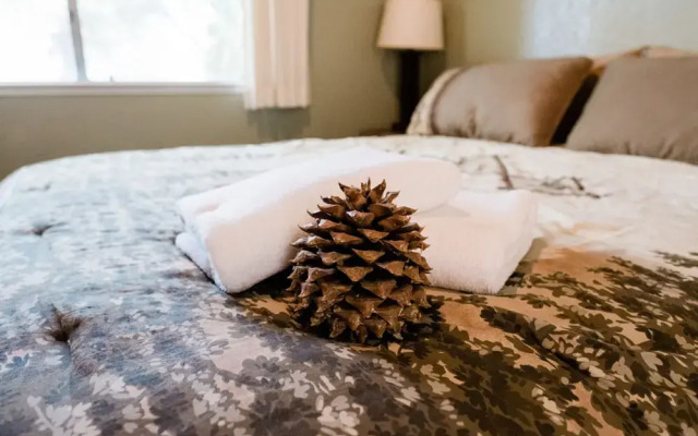 Pinecone Getaway