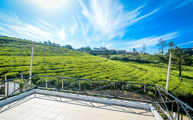 Villa Tea Fields