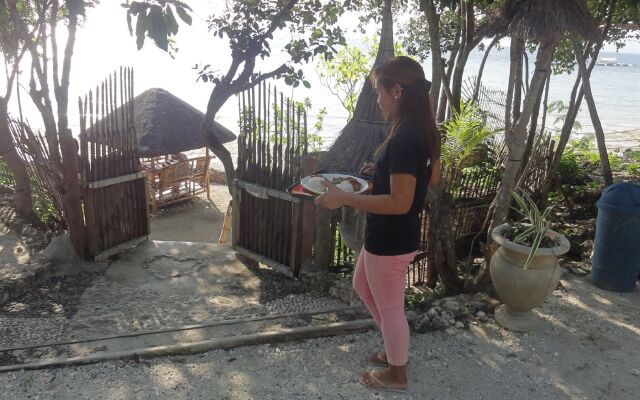 Sea Turtle House