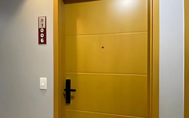 Studio Design 3 - Lions