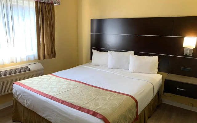 Olive Tree inn & Suites