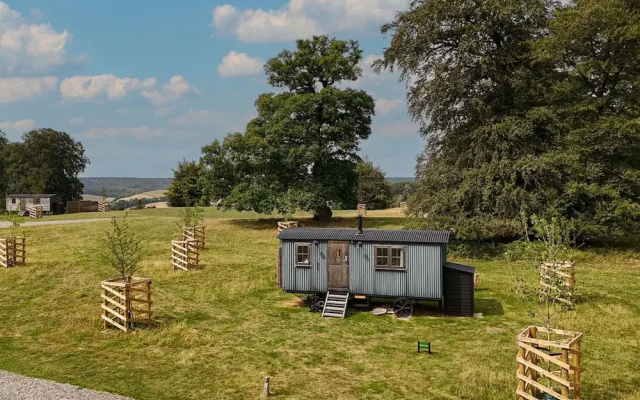 Drovers Hill at Stonor - Redwood - Shepherds hut