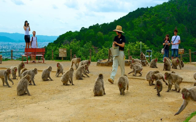 Kyoto Guesthouse meguri Hanazono - Hostel