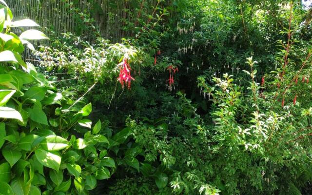 Complejo Cabañas Pétalos