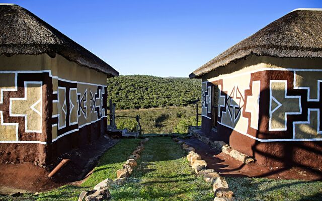 Addo Bush Palace Private Reserve