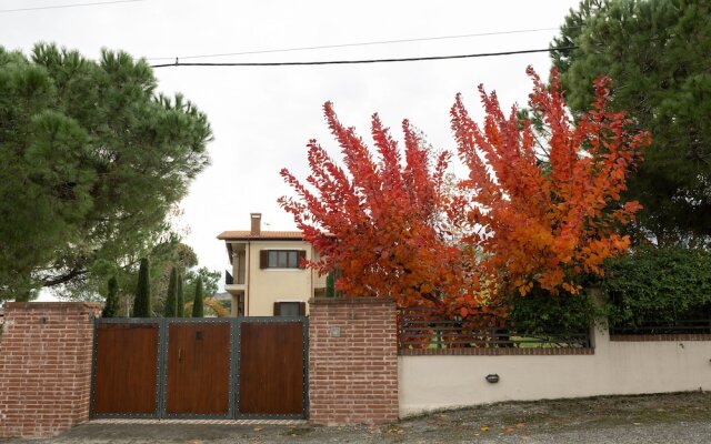 Olives and Vines all Season Villa