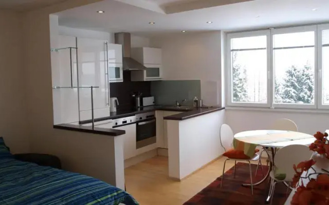 Lake View Apartment