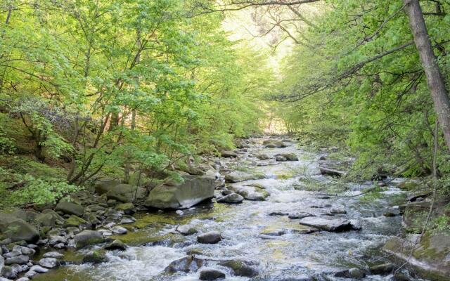 Holiday Home in Hasselfelde With Private Terrace