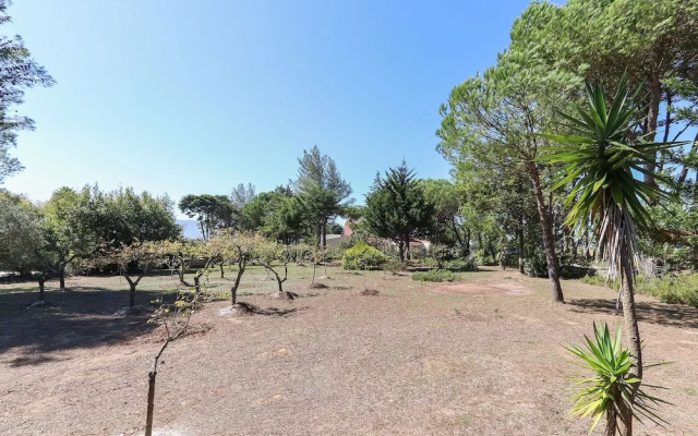 Sintra Classic Villa by Homing