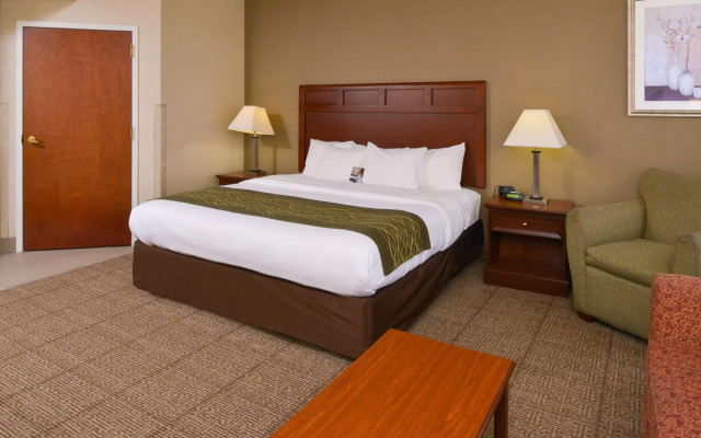 Comfort Inn Dickson