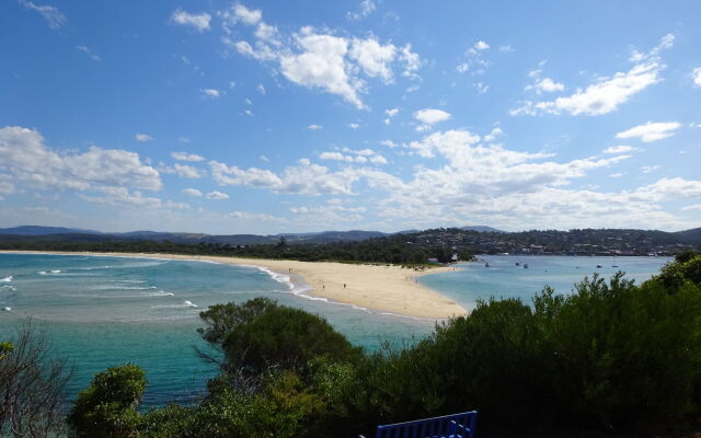 Black Dolphin Motel & Apartments