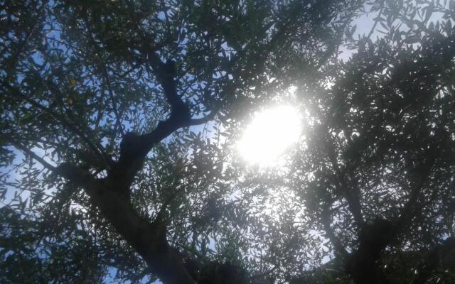 CasaVarone