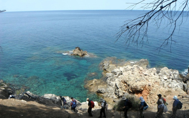 Petit Hotel Es Figueral