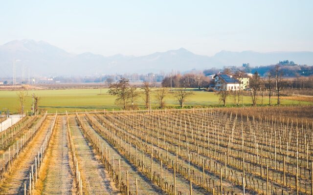 Agriturismo dei Grippi