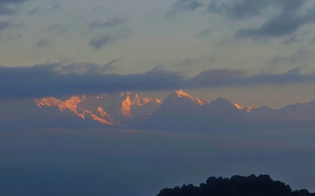 Aurora Darjeeling Grand