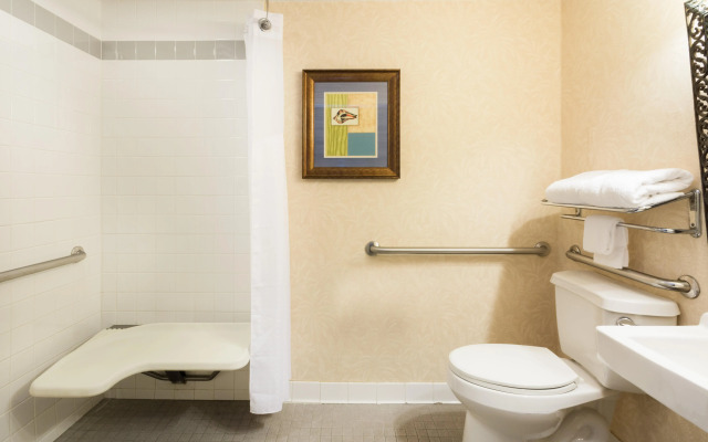 Holiday Inn & Suites Clearwater Beach S-Harbourside by IHG