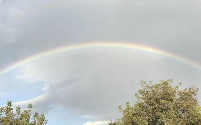 Petit Normandi Bistro  Panzi