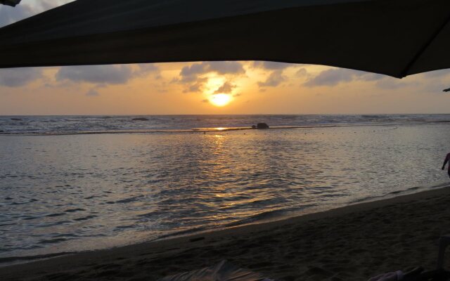 Paradise Bay