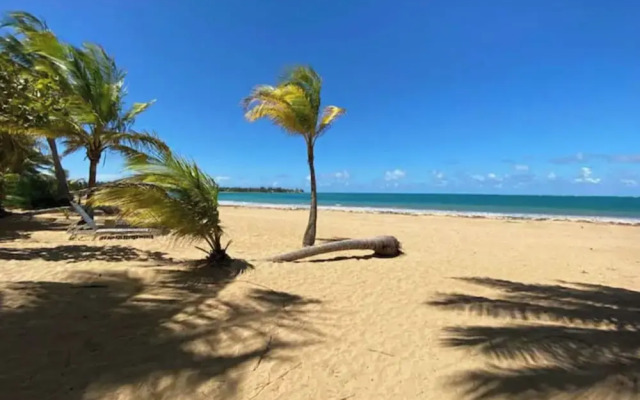 Beachside Adventure Suites