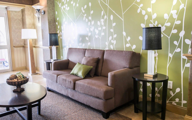 Spark by Hilton Killeen