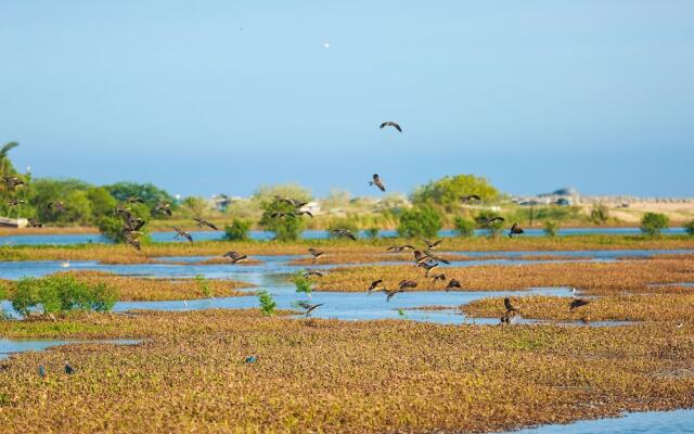 Ocean Cottage Kalametiya