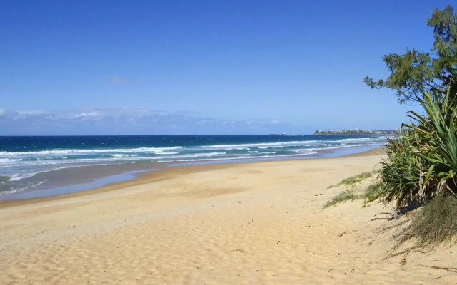 Ivy Street 7, Dicky Beach