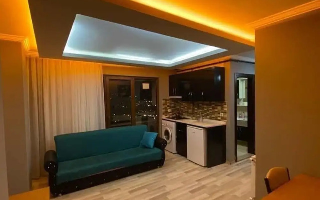 Ozmen Residence