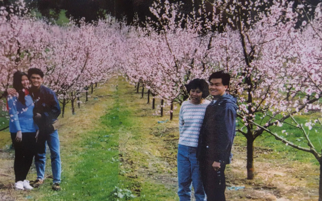 Waitomo Orchard Estate B&B