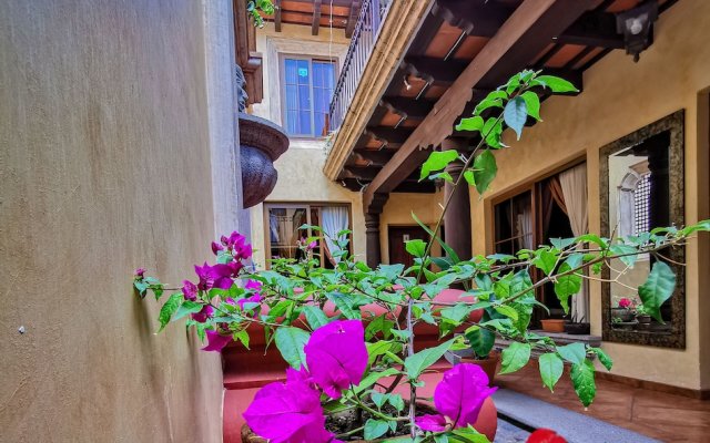 Central Bougainvillea