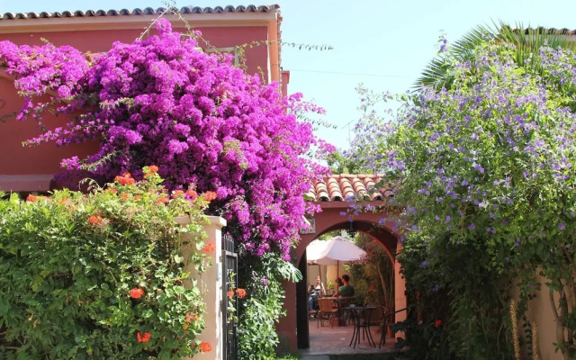El Arbol Hostel