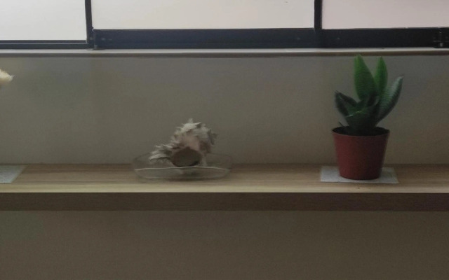 Mini apartamento Los Olivos cerca aeropuerto de Lima-Peru