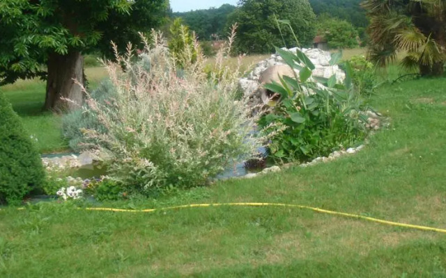 Chambres dhôtes Les Albizias