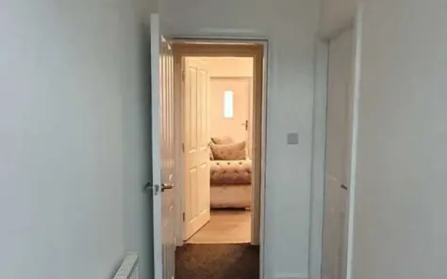 Fantastic New Room-1